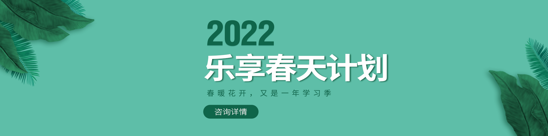 免费观看操鸡巴的视频网站